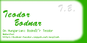 teodor bodnar business card